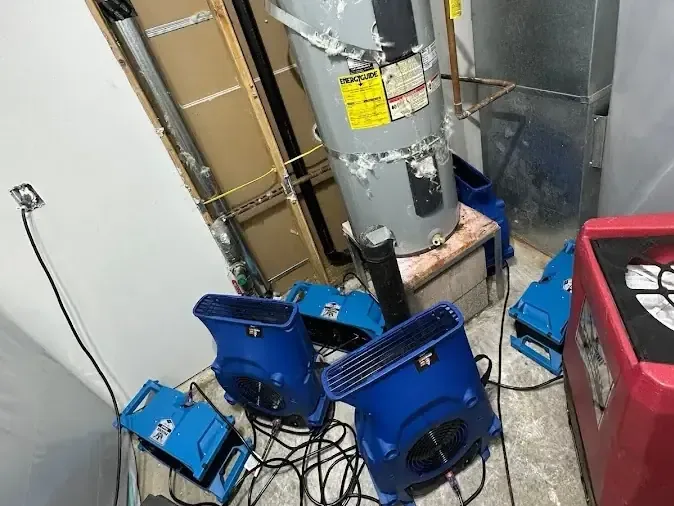 Several air movers and a dehumidifier surround a tank water heater
